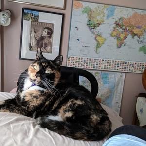 Meet your Posher, Jennifer